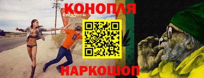 стаф Камышлов