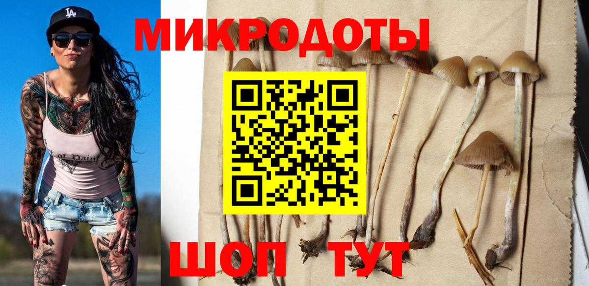 Дальнереченск  Галлюциногенные грибы ЛСД  Вход с VPN 